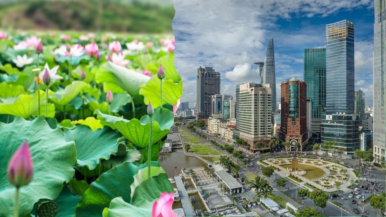 Thuê xe đi Sài Gòn từ Đồng Tháp: Xe đời mới, Đưa đón tận nơi, Giá rẻ