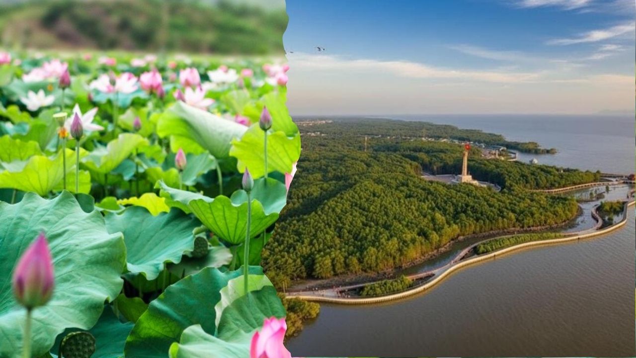 Thuê xe đi Cà Mau từ Đồng Tháp: Xe đời mới, Giá tốt, Đón tận nhà