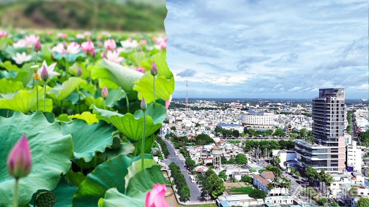 Thuê xe đi Tiền Giang từ Đồng Tháp: Xe đời mới, Giá rẻ, Đưa đón tận nơi