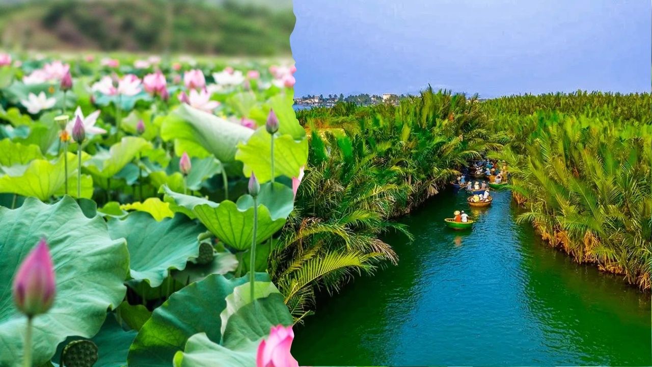 Thuê xe đi Bến Tre từ Đồng Tháp: Xe đời mới, Giá rẻ, Đón tận nhà