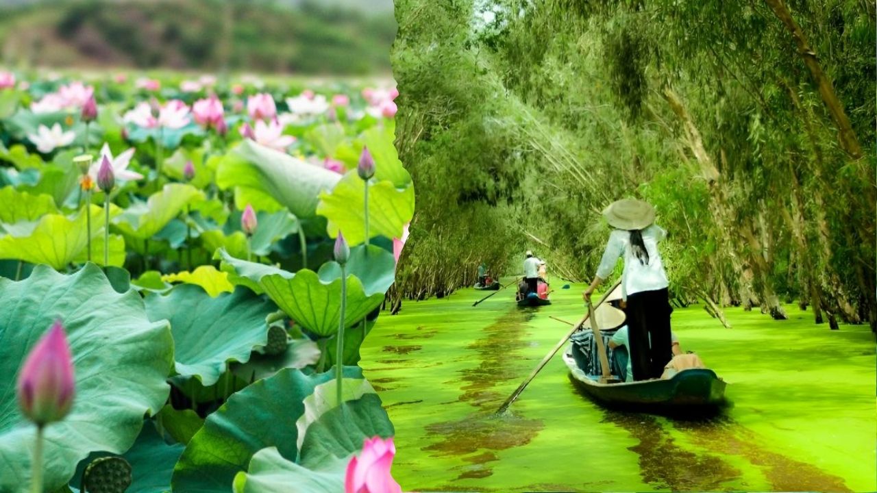 Thuê xe đi Vĩnh Long từ Đồng Tháp: Xe đời mới, Giá rẻ, Đón tận nhà